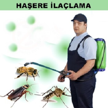 Mesudiye Böcek İlaçlama